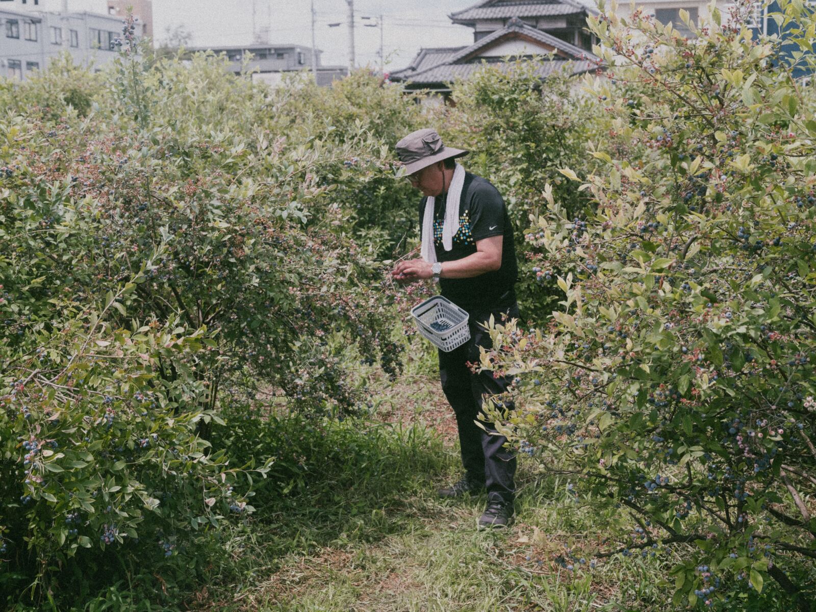Nishitama Shokai、写真3