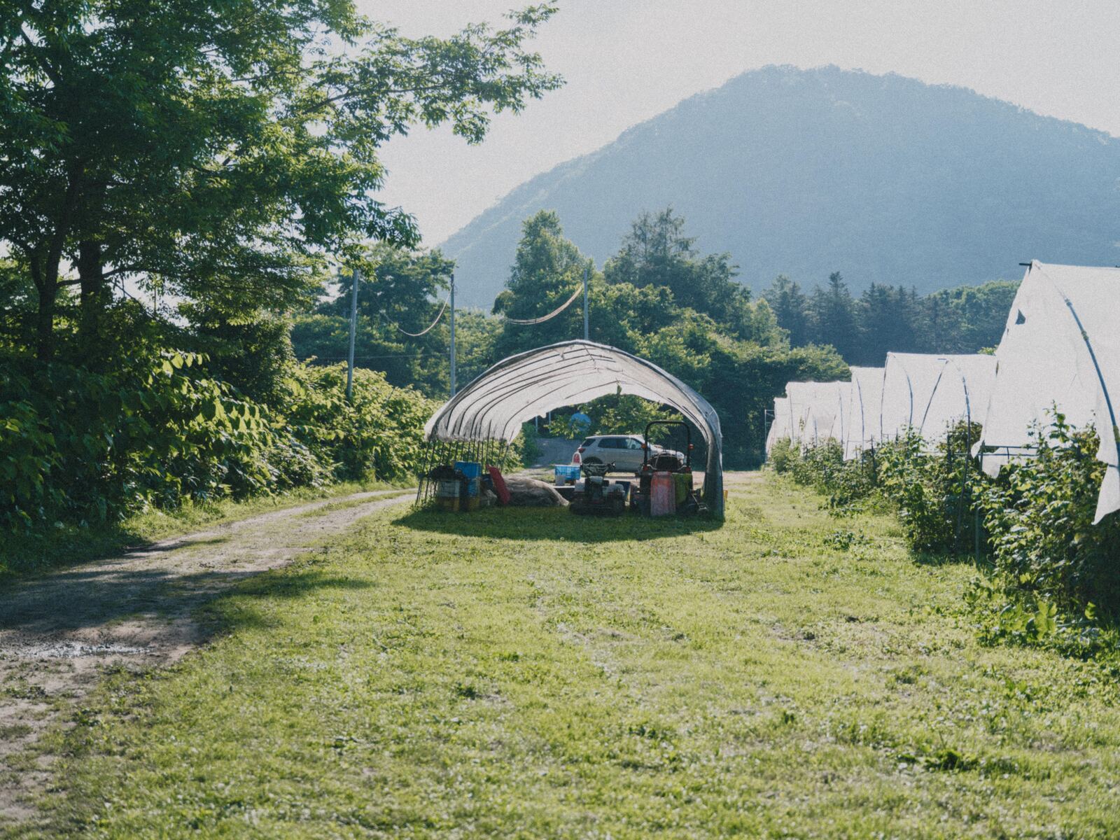 Nishitama Shokai、写真36