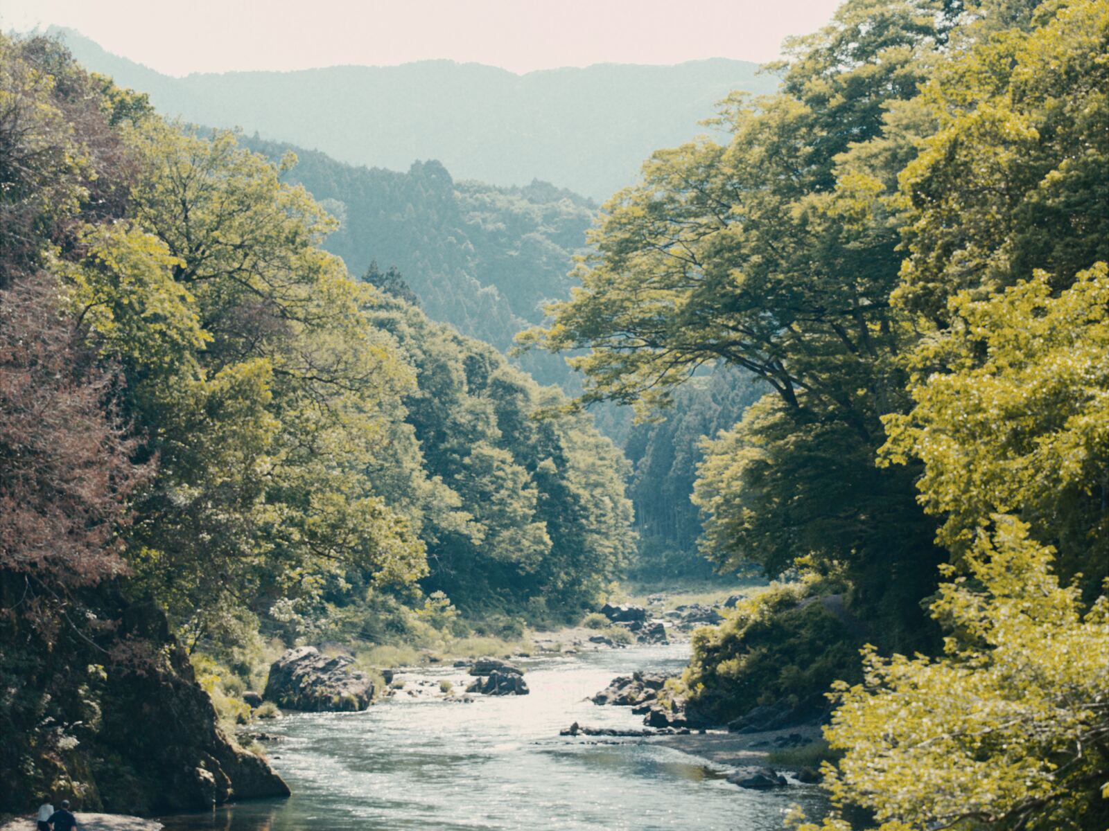 Nishitama Shokai、写真42