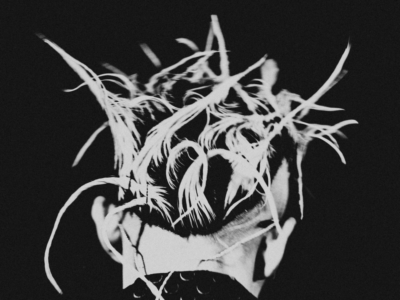 Yu Seki & Yohji Igarashi、写真9